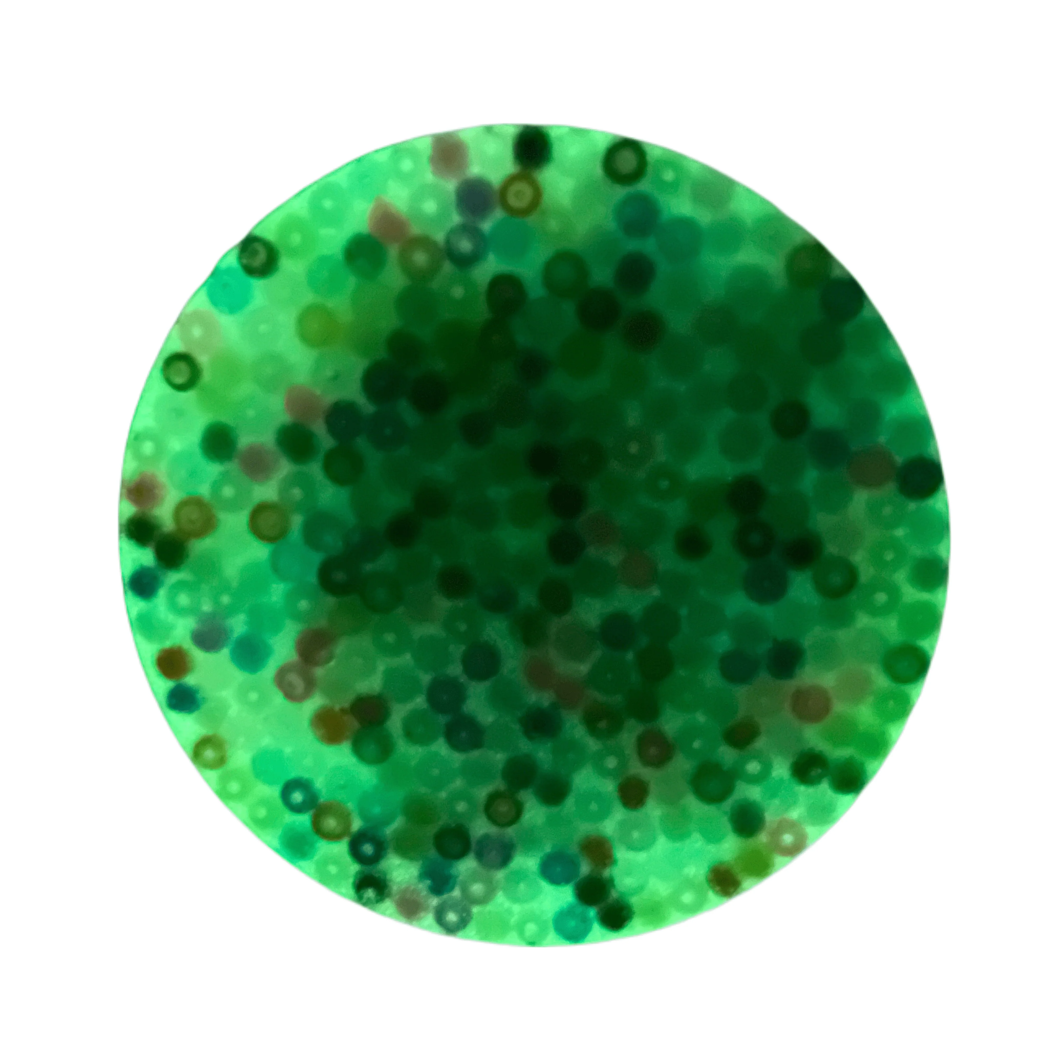 PocketPick: The Glow In The Dark Popping Fidget Toy - Image 2