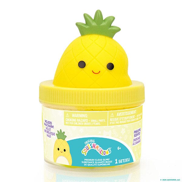 Squishmallows Premium Cloud Slime Fidget Putty Jar (Wave 3) Multiple Scents & Styles - Image 6