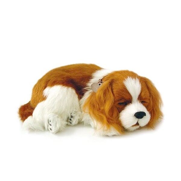 Sweet Petzzz: Realistic Dog & Cat Plush Dolls | Multiple Styles - Image 6