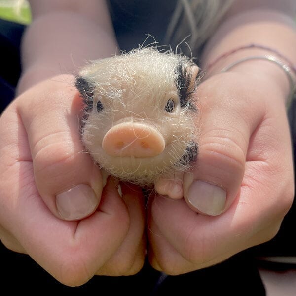 TrueHeart Treasures Reborn Animals: Realistic Mini Silicone Newborn Baby Animals (Multiple Styles) - Image 12